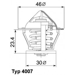 BorgWarner (Wahler)...