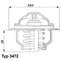 BorgWarner (Wahler)...