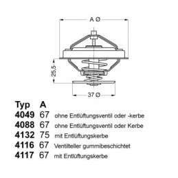 BorgWarner (Wahler)...