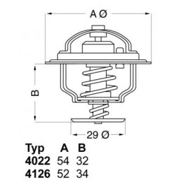 BorgWarner (Wahler)...