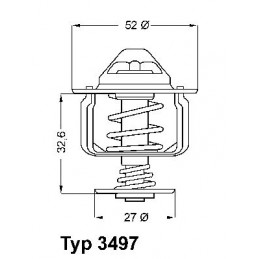 BorgWarner (Wahler)...