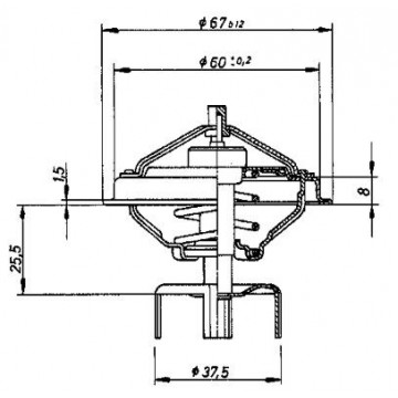 BorgWarner (Wahler)...