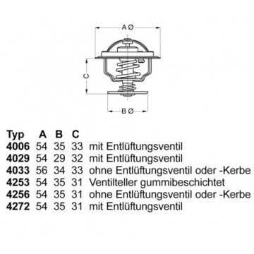 BorgWarner (Wahler)...