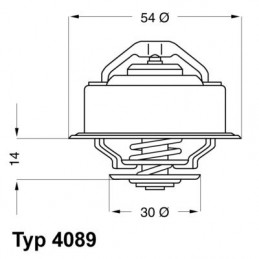 BorgWarner (Wahler)...