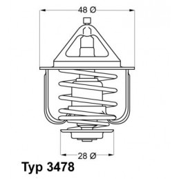 BorgWarner (Wahler)...