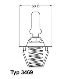 BorgWarner (Wahler)...