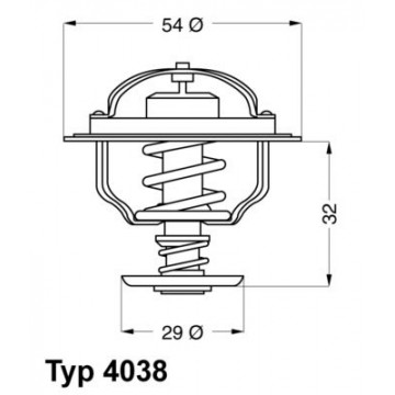 BorgWarner (Wahler)...