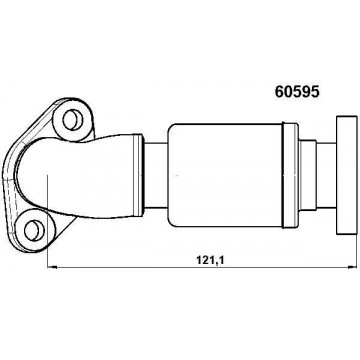 BorgWarner (Wahler)...