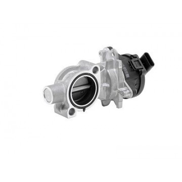 BorgWarner (Wahler)...