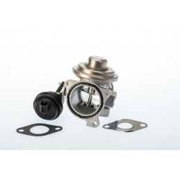 BorgWarner (Wahler)...