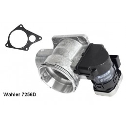 BorgWarner (Wahler)...