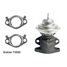 BorgWarner (Wahler)...