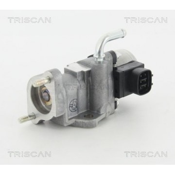 TRISCAN TRISCAN AGR-Ventil, 8813 13002