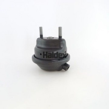 HALDEX...