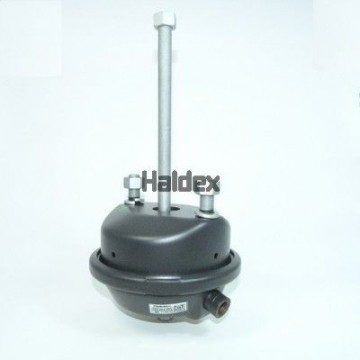 HALDEX...