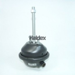 HALDEX...