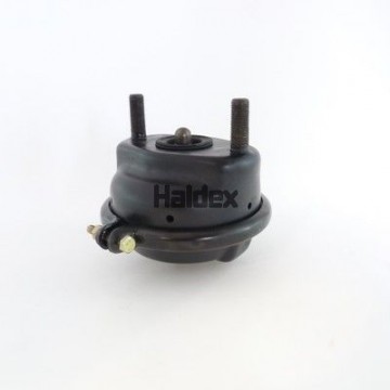 HALDEX...