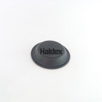 HALDEX...