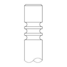 INTERVALVES Einlassventil,...