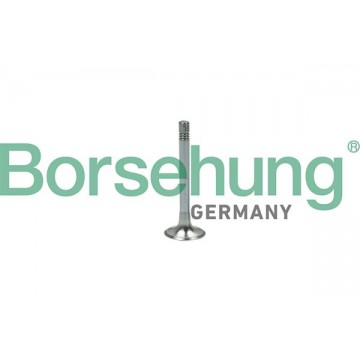 Borsehung Auslassventil, B18999 B18999  Borsehung