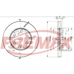 FREMAX Bremsscheibe, BD-3101