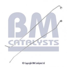 BM CATALYSTS BM CATALYSTS Druckleitung, Drucksensor (Ruß-/Partikelf...
