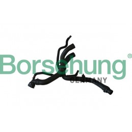 Borsehung Kühlerschlauch,...